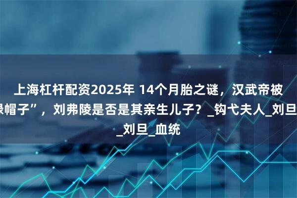 上海杠杆配资2025年 14个月胎之谜，汉武帝被戴“绿帽子”，刘弗陵是否是其亲生儿子？_钩弋夫人_刘旦_血统