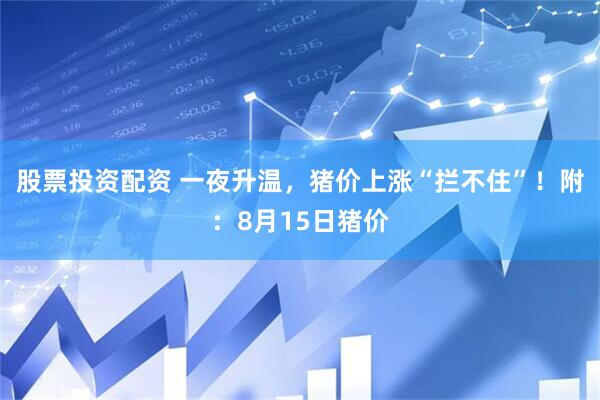 股票投资配资 一夜升温，猪价上涨“拦不住”！附：8月15日猪价